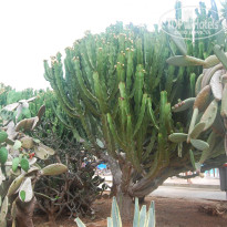 фото из отзыва ID 1360922