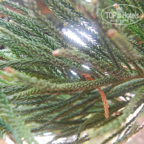 фото из отзыва ID 1360922