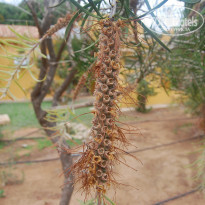 фото из отзыва ID 1360922