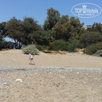 фото из отзыва ID 1361248