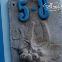 фото из отзыва ID 1361248