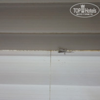 фото из отзыва ID 1363897