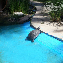 фото из отзыва ID 1366197