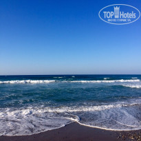 фото из отзыва ID 1366821