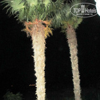 фото из отзыва ID 1368075