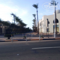 фото из отзыва ID 1365335