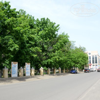 фото из отзыва ID 1365082