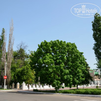 фото из отзыва ID 1365082