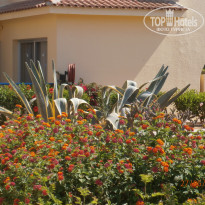 фото из отзыва ID 1370485