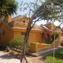 фото из отзыва ID 1370485