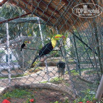 фото из отзыва ID 1371194