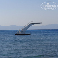 фото из отзыва ID 1375328