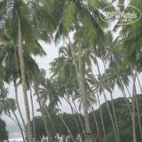 фото из отзыва ID 1375856