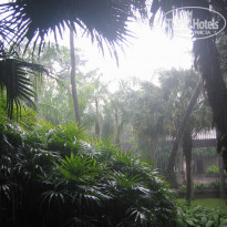 фото из отзыва ID 1375856