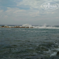 фото из отзыва ID 1376942