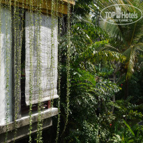 фото из отзыва ID 1380919