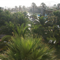 фото из отзыва ID 1381954