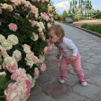 фото из отзыва ID 1383086