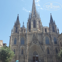 фото из отзыва ID 1387293