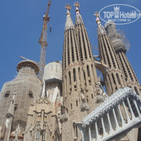 фото из отзыва ID 1387293