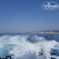 фото из отзыва ID 1387293