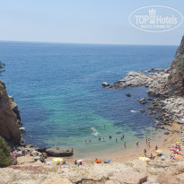 фото из отзыва ID 1387293