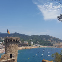 фото из отзыва ID 1387293