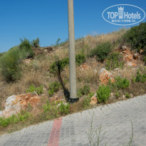 фото из отзыва ID 1387100