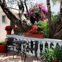 фото из отзыва ID 1387549