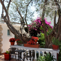 фото из отзыва ID 1387549