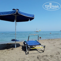 фото из отзыва ID 1388419