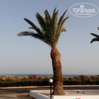 фото из отзыва ID 1393692