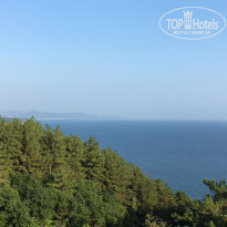 фото из отзыва ID 1399024