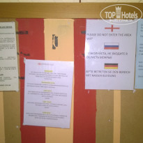 фото из отзыва ID 1401848