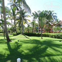 фото из отзыва ID 1400207