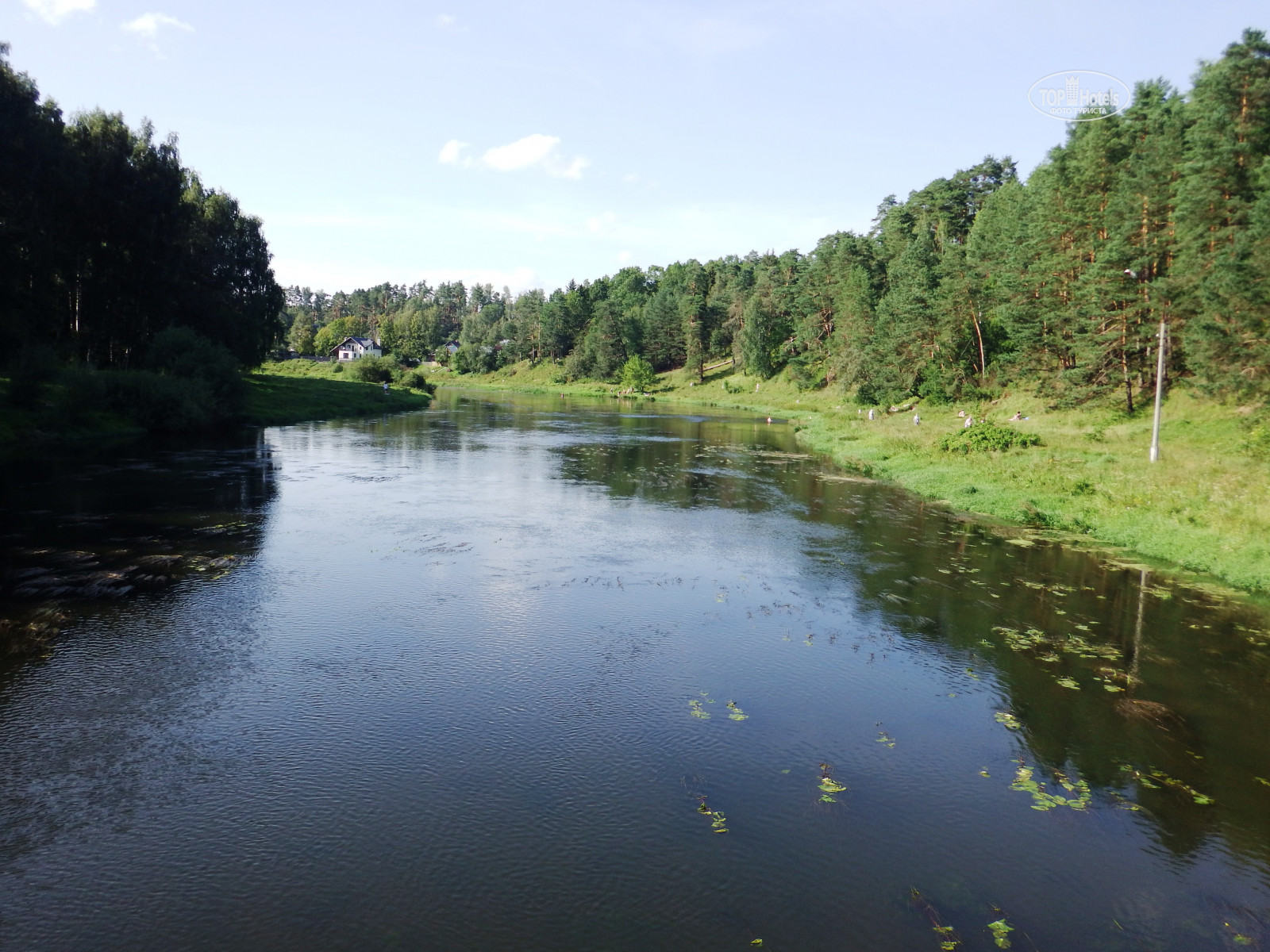 Курортная зона лес Дорохово