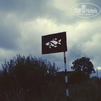 фото из отзыва ID 1403204