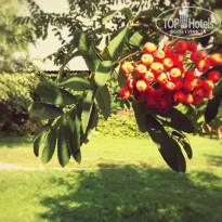 фото из отзыва ID 1403204