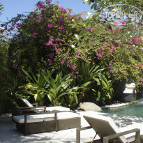 фото из отзыва ID 1404968