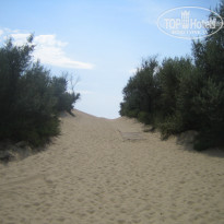 фото из отзыва ID 1408272