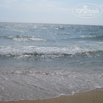 фото из отзыва ID 1408272