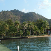 фото из отзыва ID 1420946