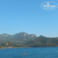 фото из отзыва ID 1420946