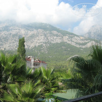 фото из отзыва ID 1421472