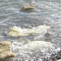 фото из отзыва ID 1426360