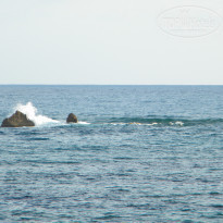 фото из отзыва ID 1426360