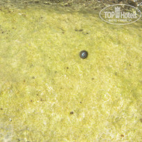 фото из отзыва ID 1426360