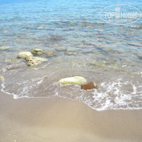 фото из отзыва ID 1426360