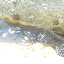 фото из отзыва ID 1426360