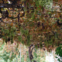 фото из отзыва ID 1426507